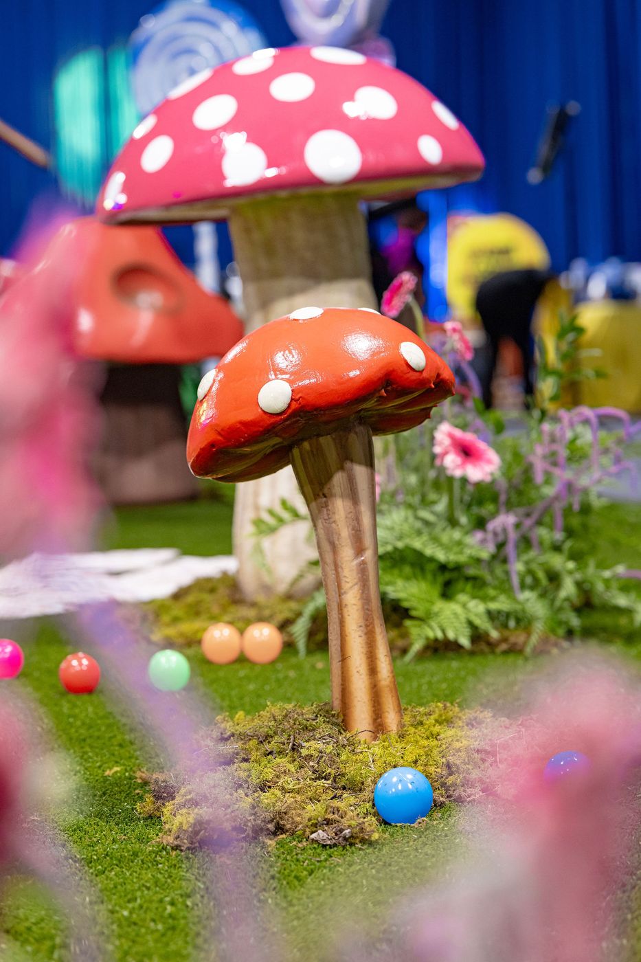 Oversized toadstools photographed through candy coloured foreground props