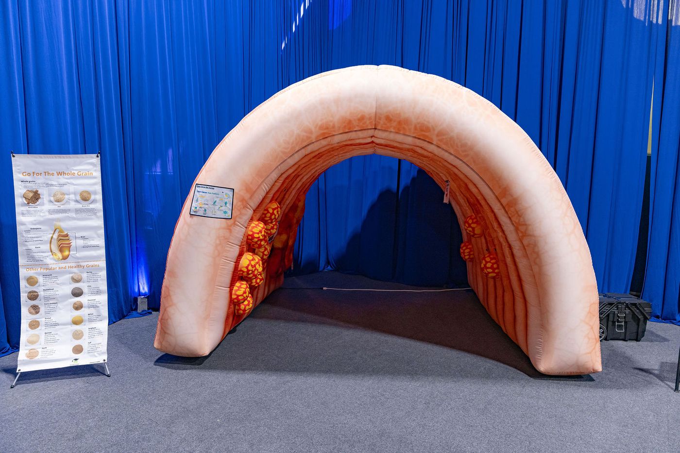 An inflatable archway entrance at a themed community event