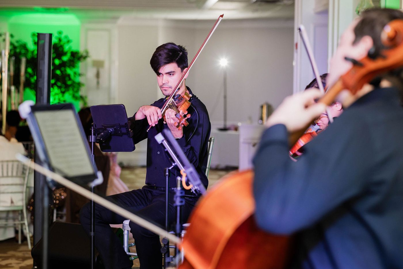 A string quartet playing at a Regency themed ball in South Florida